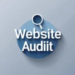 Website Audit Service